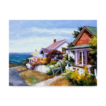 Erin Dertner 'Village Gem' Canvas Art,35x47